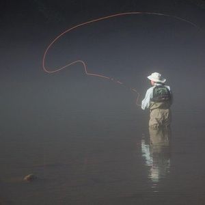 Meet your Posher, Jerry
